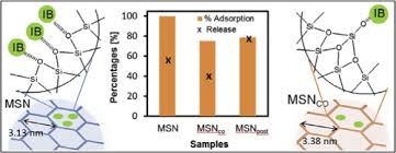 Msn development sdn bhd is a dynamic and progressive organization that has grown to become a leader in its industry. Role Of 3 Aminopropyltriethoxysilane In The Preparation Of Mesoporous Silica Nanoparticles For Ibuprofen Delivery Effect On Physicochemical Properties Sciencedirect