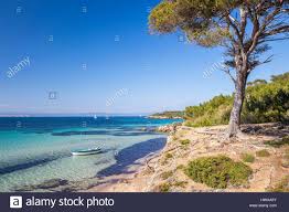 France Var Iles D Hyeres National Park Of Port Cros Island Of Stock Photo Alamy