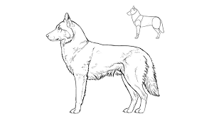 Dog drawings animal drawings drawing sketches real dog dog art pitbulls oc pictures animals. Sketchbook Original How To Draw Dogs Monika Zagrobelna