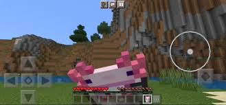 Jun 16, 2021 · how to find, tame, and breed axolotls in minecraft 1.17. Bucket Milk Of Axolotl Minecraft Pe Mods Addons