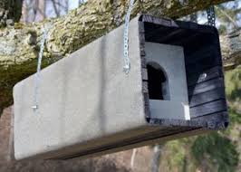 Waldkauzrohre 1wk Schwegler Natur