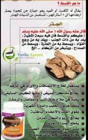 الصفحة الرسميه لقصر بن غشير Facebook