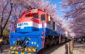 Busan dapat dicapai dengan menggunakan kereta ktx express dari stasiun seoul dalam jangka waktu dua jam. Selain Seoul 6 Kota Kece Di Korea Selatan Ini Juga Wajib Dikunjungi