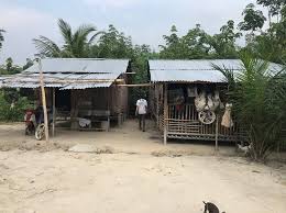 51% of these children were boys while the remainders were girls. Gpf Malaysia Supports Literacy And Vocational Training Among The Indigenous Orang Asli Community Global Peace Foundation