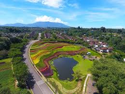 Taman bunga nusantara yang meresmikan adalah presiden soeharto pada tahun 1995. Menyisir Keindahan Dan Keunikan Taman Bunga Vimala Hills Di Bogor
