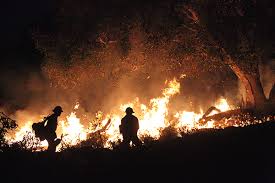 To modify your burn center's profile, log in using the aba member username and password for your burn center. Battling Longer More Intense Fire Seasons Penn Today