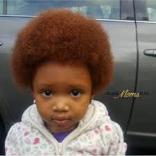 Black And Ginger Baby Pin On Family