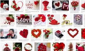 Choose from 4900+ rose flower graphic resources and download in the form of png, eps, ai or psd. Love Rose Flower Images Free Download Download