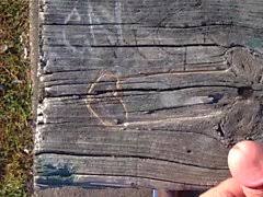 I loved the way you set everything up for my first time. Glamour