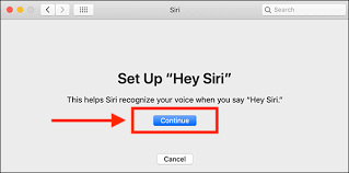 Actually, you'll get to say that a few times, then you'll be asked for a few common phrases: My Computer My Way Using Siri The Voice Assistant In Macos 10 15 Catalina