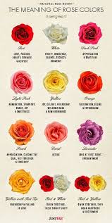 Maybe you would like to learn more about one of these? Pin By Alexandra Chevrier On Cinderella Dreams Rose Color Meanings Flower Meanings Language Of Flowers