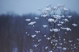 It is a very clean transparent background image and its resolution is 1024x1024 , please mark the image source when quoting it. Ravenclaw Reign