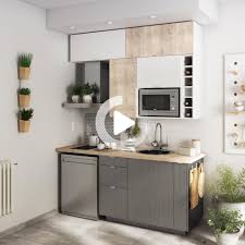 Cuisine Equipee Detroit Delinia Id En 2020 Cuisine Studio Amenagement Petite Cuisine Cuisine Moderne