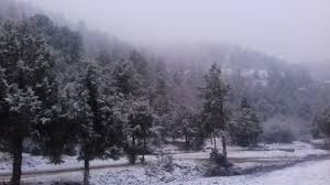 En guadalajara, la temporada de lluvia es nublada, la temporada seca es parcialmente nublada y es para describir qué tan agradable es el clima en guadalajara durante el año, calculamos dos. Clima En Guadalajara A 23 Anos De La Historica Nevada Linea Politica