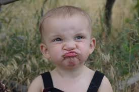 Rescued pitbull with cleft lip finds love and support