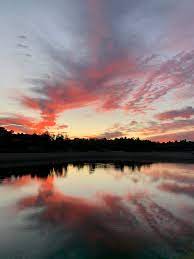 Miya on X: My new profession is taking pictures of the sunrise  t.coCYSA8R5nIC  X