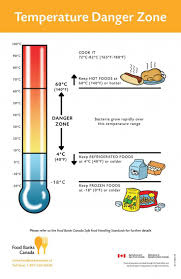 F18976269faa940f3ea9cce8eda65a24 Safe Food Food Networktrisha Jpg 736 1137 Food Safety Hygienic Food Food Safety Tips