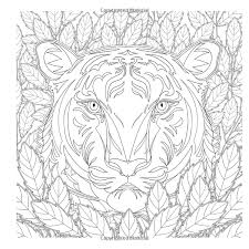 Download Amazon Com National Geographic Magnificent Animals A Coloring Book 9781426218156 Hayrullah K Animal Coloring Pages Turtle Coloring Pages Cat Coloring Page