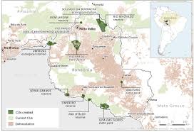 Maybe you would like to learn more about one of these? Local Ngos In Rondonia Warn Against Protected Areas Dismantling In The Brazilian Amazon Wwf Brasil