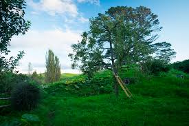 The inspiring hobbit house designs featured here are bound to generate a host of helpful ideas for creating your own hobbitat! Picture New Zealand Hobbit House Matamata Nature Parks 3000x2000