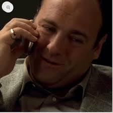 Vintage 14k Yellow Gold Tony Soprano Natural Diamond & Rhodolite Garnet  Pinky Ring (7.5)