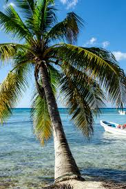 Pin Op All Inclusive Deals