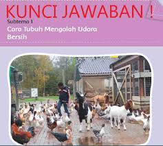 Maybe you would like to learn more about one of these? Kunci Jawaban Tematik Tema 2 Kelas 5 Halaman 1 3 11 12 Pembelajaran 1 Subtema 1 Cara Tubuh Mengolah Udara Bersih