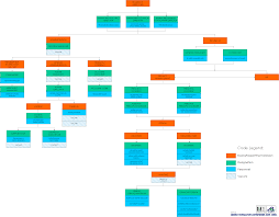 News Board Circular Arsea Organization Chart 2011 01