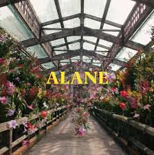 It became a hit across europe, topping the charts in austria, belgium, france and the netherlands. Bellabassfly Robin Schulz Wes Alane Official Music Video