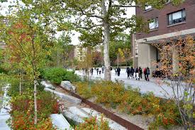 The Southwest Concourse Revitalization Project Is A Comprehensive Renewal Of The Most Densely Populated Area On The Umass Am Rain Garden Landscape Green Street