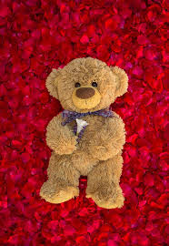 If you have your own one, just create an account on the website and upload a picture. Petit Ourson D Amour Travelling Teddy Teddy Bear Wallpaper Cute Teddy Bear Pics Teddy Day