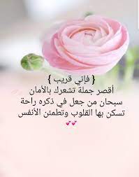 pin by eman duniya on عربي رسائل من تصميمي rose plants flowers