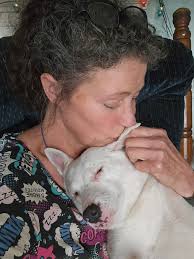 Adopt a dog and save a life today