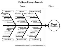 fishbone diagram example ishikawa diagram project