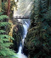 On june 3, as black lives matter protesters gathered in sequim, washington, seth larson was. Welcome To Farwest Motel Forks Washington Forks Washington Twilight Washington State Travel Scenic