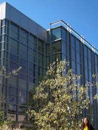 Faculty Focus: H. Timothy Lovelace, Jr.