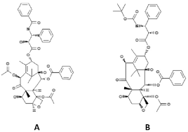 Image result for Docetaxel