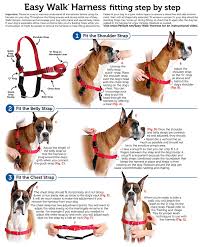 Details About Petsafe Dog Nylon Easy Walk Harness Reduce Pulling Petite Fawn And Brown