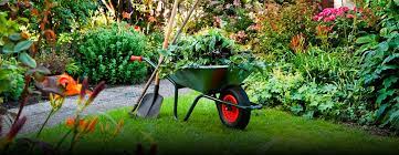 145 likes · 2 talking about this. Adelaide Lawn Mowing Garden Service Professionals Alma Alma Adelaide Lawnmowing Gardening Tree Professionals