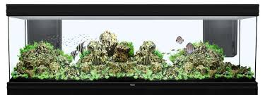 Filtre D Aquarium Conseils Truffaut