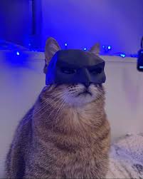 Коты воители порно  смешные картинки и другие приколы: комиксы, гиф  анимация, видео, лучший интеллектуальный юмор.