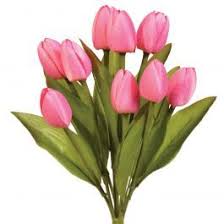 19 other ace hardware coupons and deals also available for may 2021. Tulip Bush X9 13 Pink In 2021 Tulips Silk Flowers Flowers