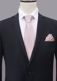 Men's Nude Pink Tie – NZ Ties