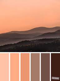 Mix blue and orange to make brown. Color Inspiration Deep Peach Brown Color Palette Peach Color Palettes Peach Colour Combinations