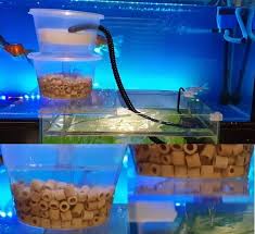 How To Setup Overhead Aquarium Sump Filter Aquarium Sump Sump Aquarium