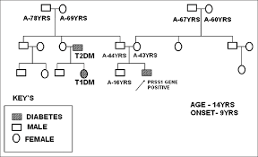 Hereditary Chronic Pancreatitis In A Patient With Type 1