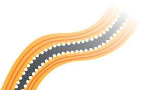 Nsw Bike Week Transport For Nsw