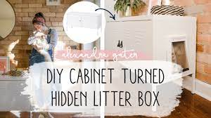 405 Diy Cabinet To Hide Cat Litter Box In A Small Space Pet Tips Youtube Cat Litter Box Pet Hacks Litter Box