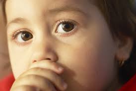 2008-09 ANNUAL REPORT