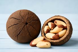 Brazil Nuts: What They Are and Why They're So Unique